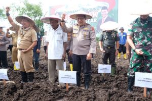 Mendukung Ketahanan Pangan, Berikut Lokasi Penanaman Jagung oleh Polda Kaltara dan Polres Jajaran