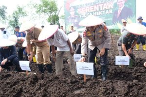 Sinergi Besar untuk Ketahanan Pangan: Kapolda Kaltara, TNI, Pemerintah, dan Masyarakat Tanam Harapan di Lahan Jagung