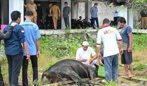 DPRD Kaltara Berbagi Daging Qurban Idul Adha 1446 H