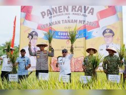 Panen Padi di Bulungan Kaltara Capai Target